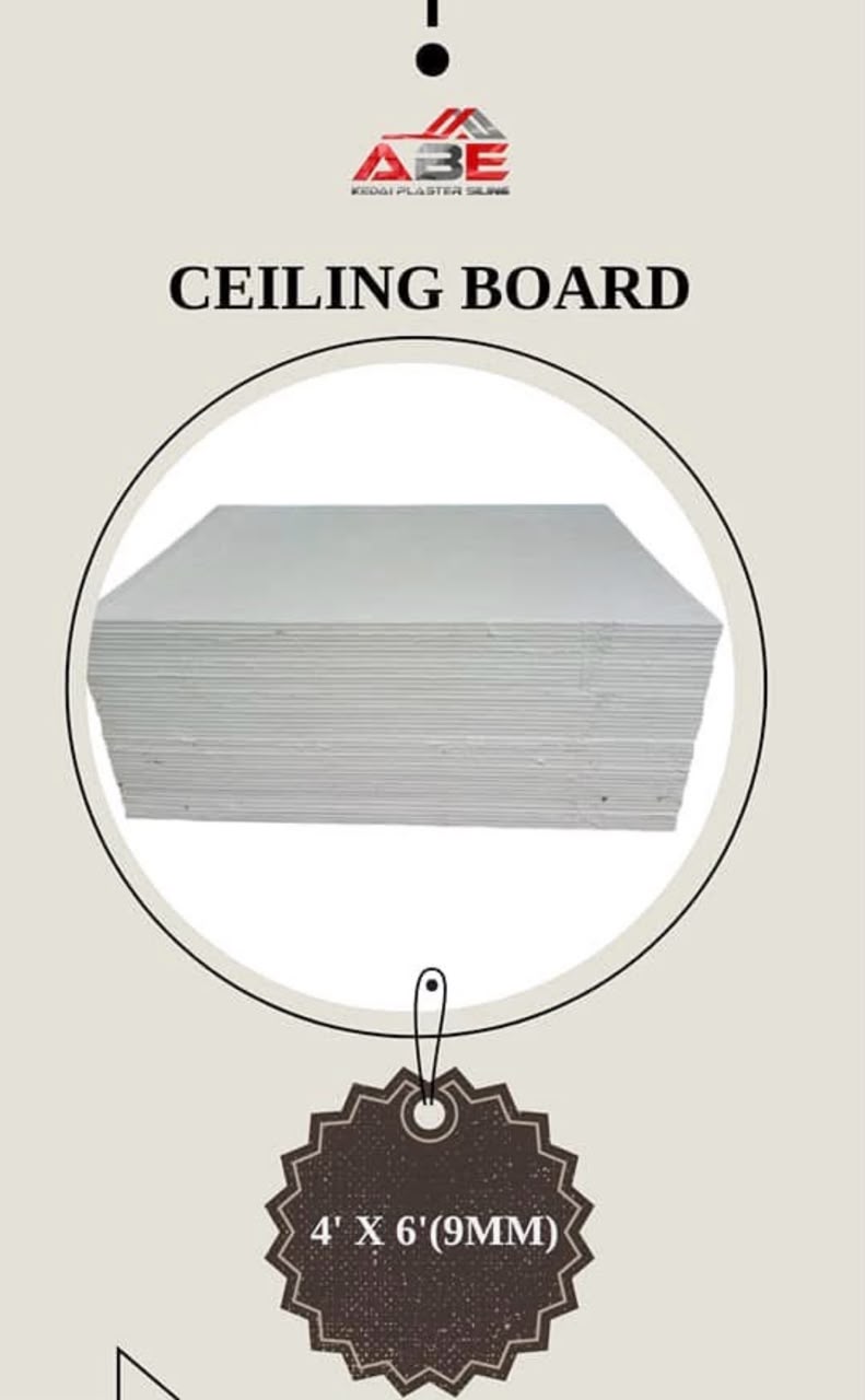 Ceiling board